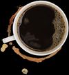 Coffee Cup
